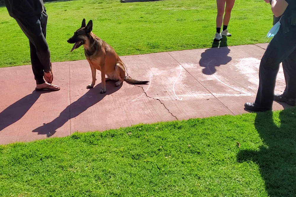 A San Diego park patrol officer writes up a ticket for an off leash dog.