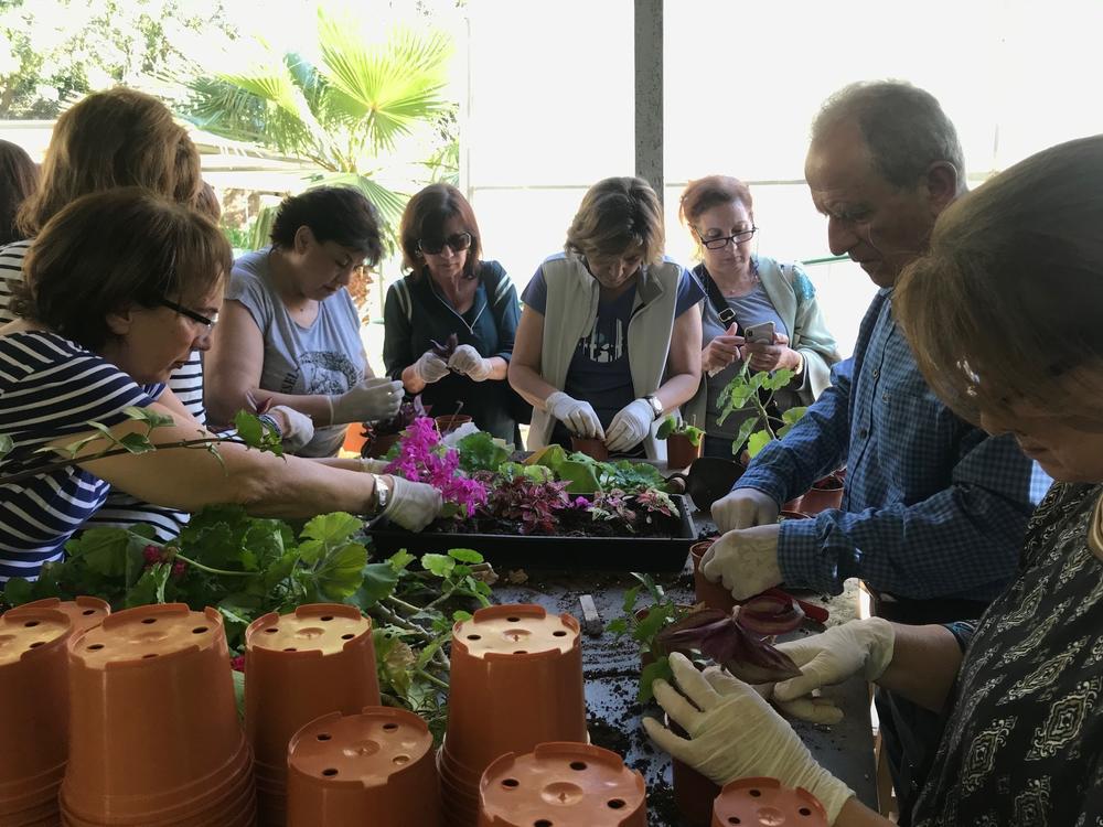 Students at the University for Seniors in Beirut are able to attend classes on a variety of subjects, including gardening.