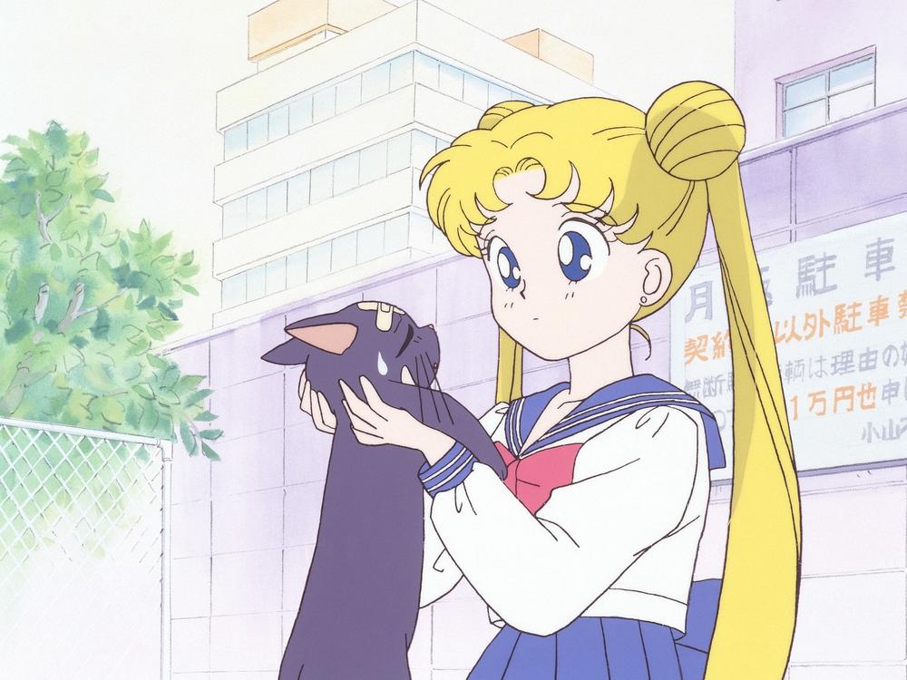 14-year-old schoolgirl Usagi Tsukino happens upon Luna, a magical talking cat, who tasks Usagi with becoming Sailor Moon and protecting the world from evil forces.