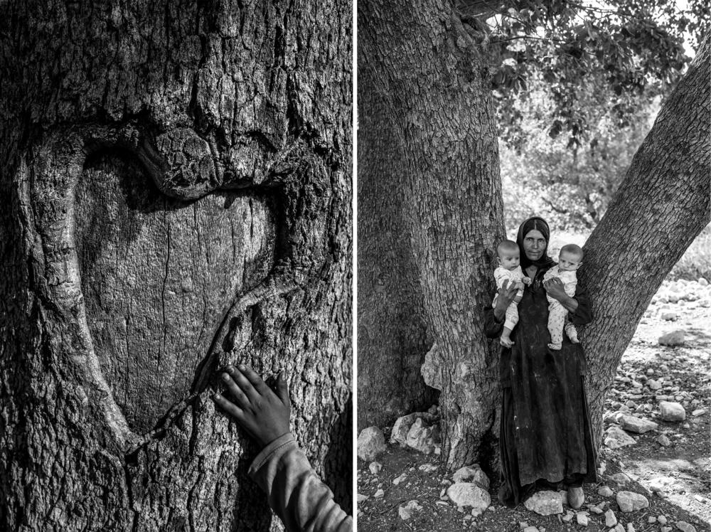 The heart was not carved — it was formed when a truck delivering flour collided with the tree. It's the favorite tree of this Bakhtiari girl, standing in front of it at right.
