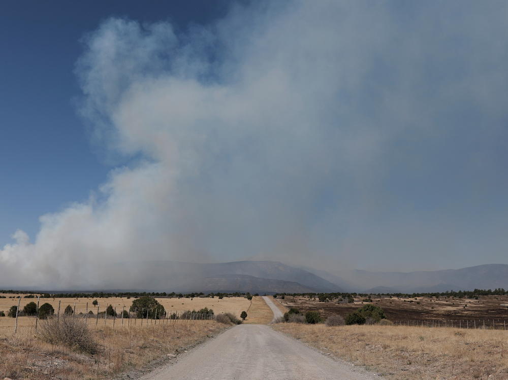 Smoke billows from the Hermits Peak and Calf Canyon fire, outside of Las Vegas, New Mexico, on May 11.