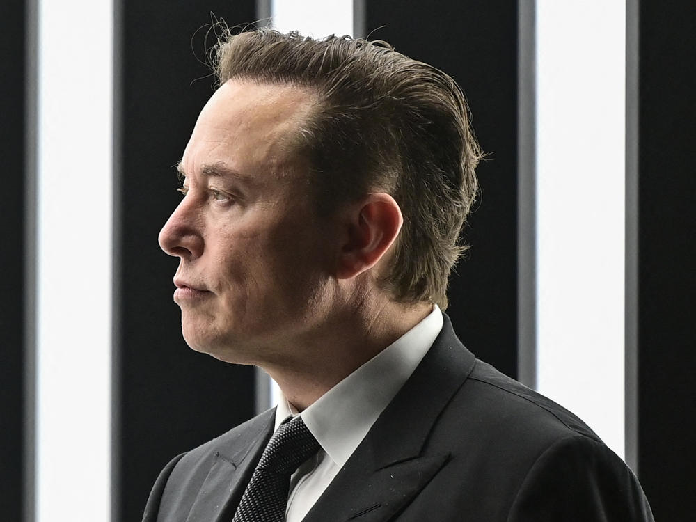 Tesla CEO Elon Musk at Tesla's 