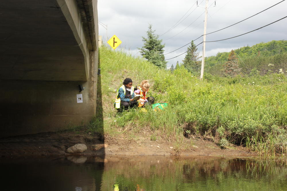 Environmental research students Jaynina Deku and Valérie Bolduc  install  motion-activated wildlife cameras to track animals approaching and passing through the culvert. The white sign explains the purpose of the equipment to dissuade thefts or vandalism of the cameras, which will remain on site for many months.