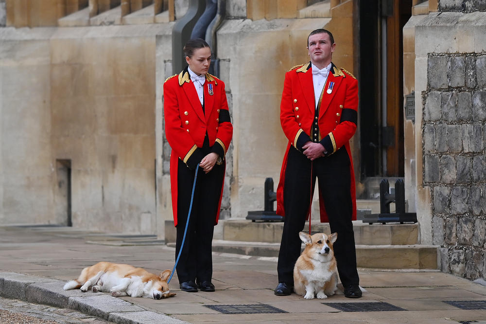 Members of the Royal Household walk two of the royal corgis at Windsor Castle ahead of the Committal Service for Queen Elizabeth II on Monday.