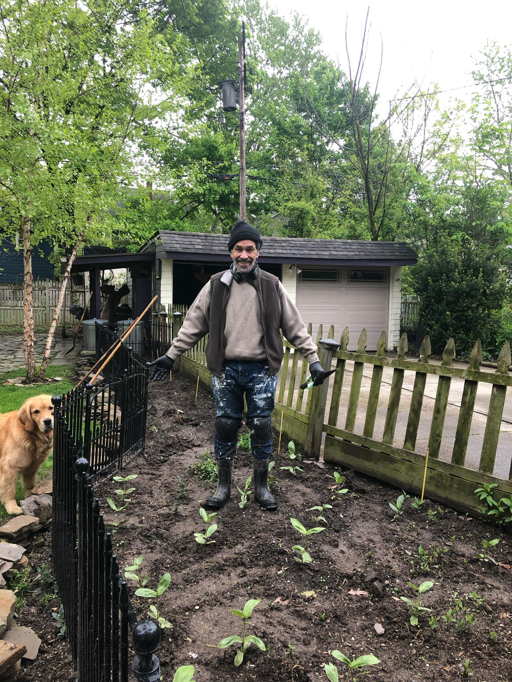 Ken working in his vegetable bed in May 2019, supervised by Arlo, his dear late golden retriever.