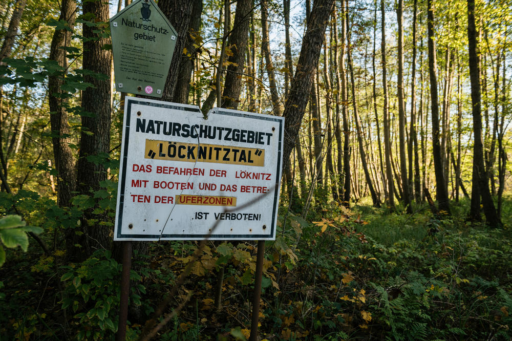 Two old signs in the forest declaring the area a nature reserve in Gruenheide on Oct. 26. The top sign dates to the time when Germany was still divided and the area belonged to East Germany.