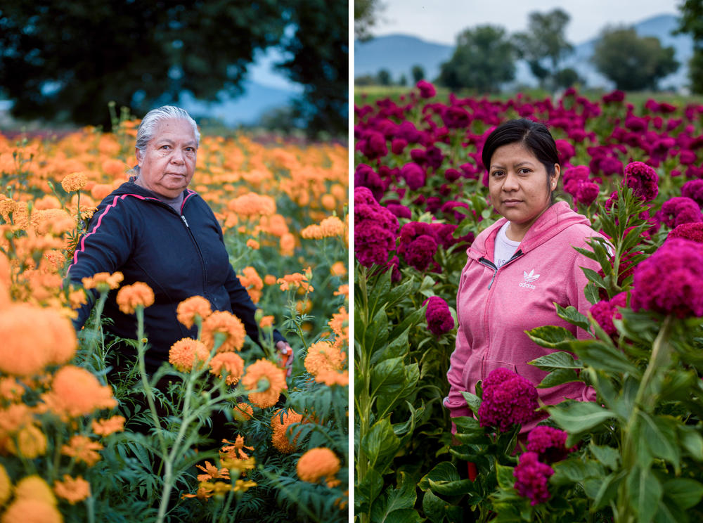 Virginia Marin Solis, y María Azucena, 26, entre los sembradios de la flor Terciopelo en San Fúlix Hidalgo, Puebla, México.