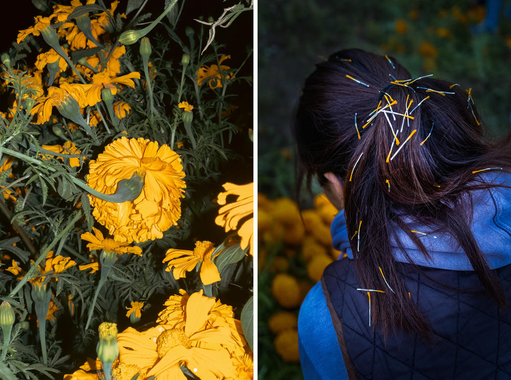 Detalle del cabello de Maria Fernanda Hernández con pistilos de la flor de Cempasúchil que su hija Abril le colocó en  San Fúlix Hidalgo, Puebla, México