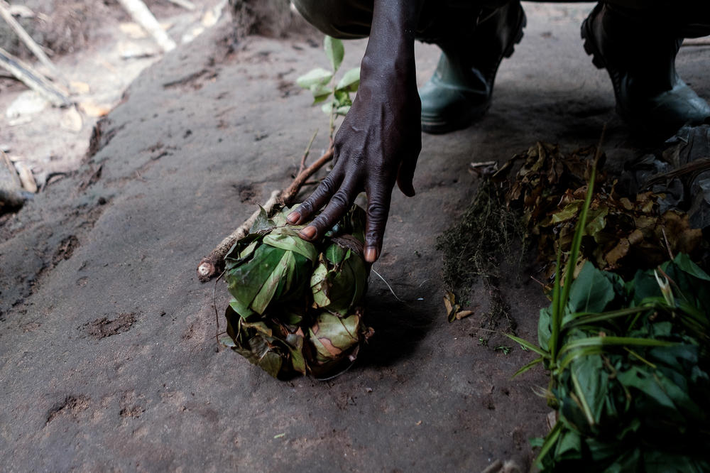 Papa Daboh, a traditional healer, shows off a bundle of leaves he uses to treat snake bites. Traditional healers are still a popular option for people living in remote parts of Guinea who are unable to get to a medical facility or can't afford official health care. This can lead to very serious complications down the line.