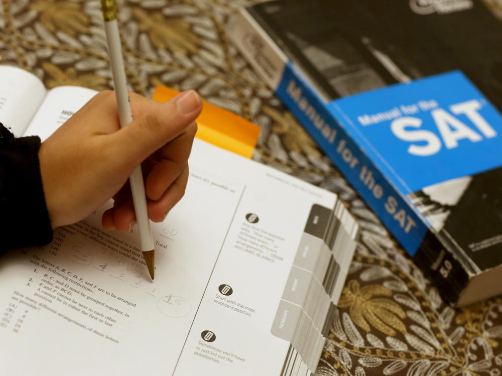 Suzane Nazir uses a Princeton Review SAT Preparation book to study for the test on March 6, 2014 in Pembroke Pines, Fla.