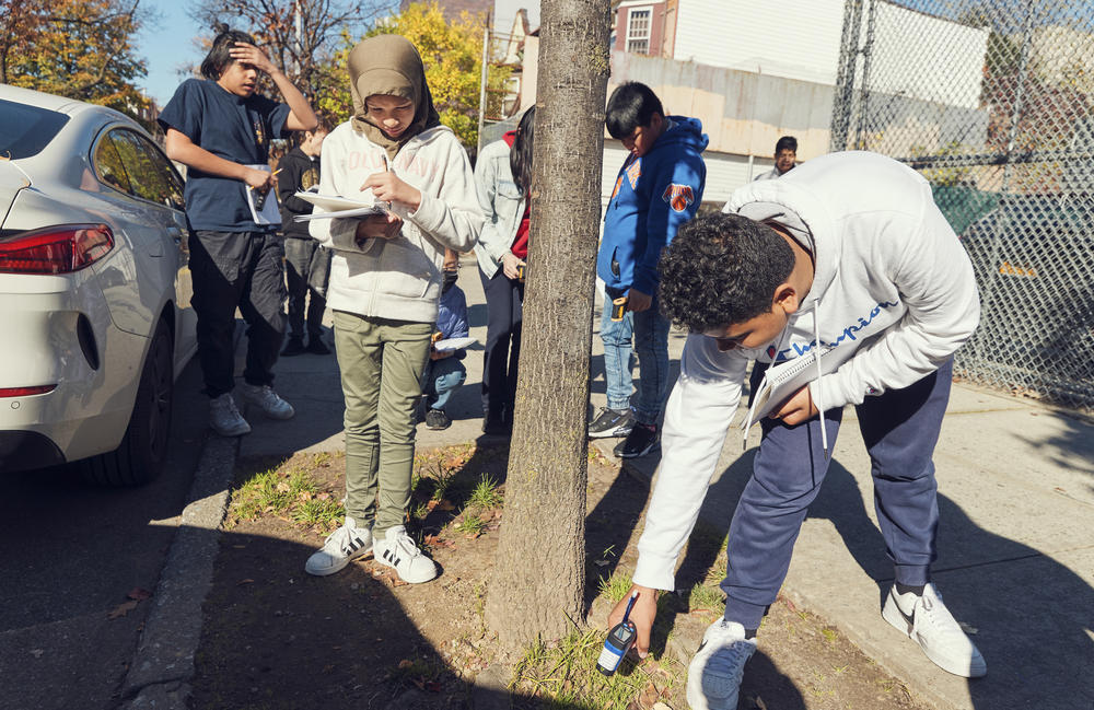 Students outside Brooklyn's J.H.S. 223 try to measure the surface temperature of dirt and single blades of grass. Schools can become hotspots if, like this one, they have lots of asphalt and little vegetation.