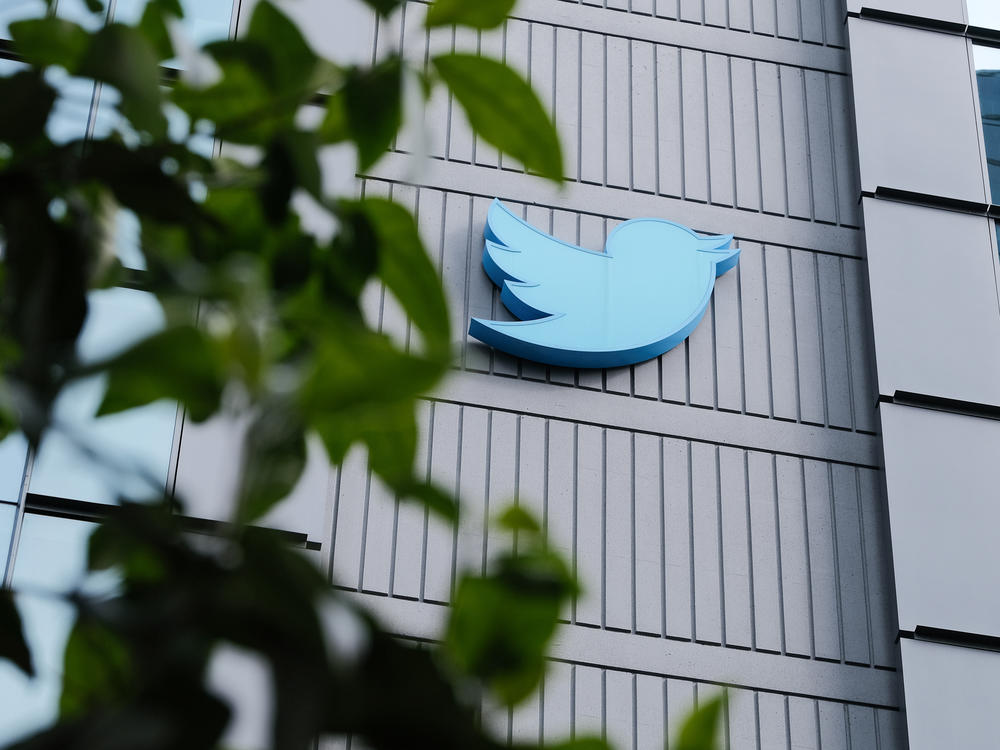 Though Twitter has temporarily suspended its new subscription service, experts say the damage to public trust in the platform may already be done.