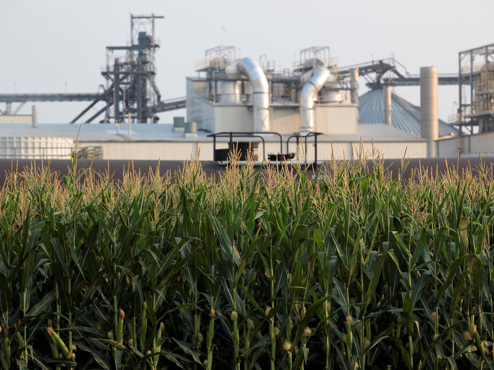 Project developers plan to build carbon capture pipelines connecting dozens of Midwestern ethanol refineries, such as this one in Chancellor, S.D., shown on July 22, 2021.