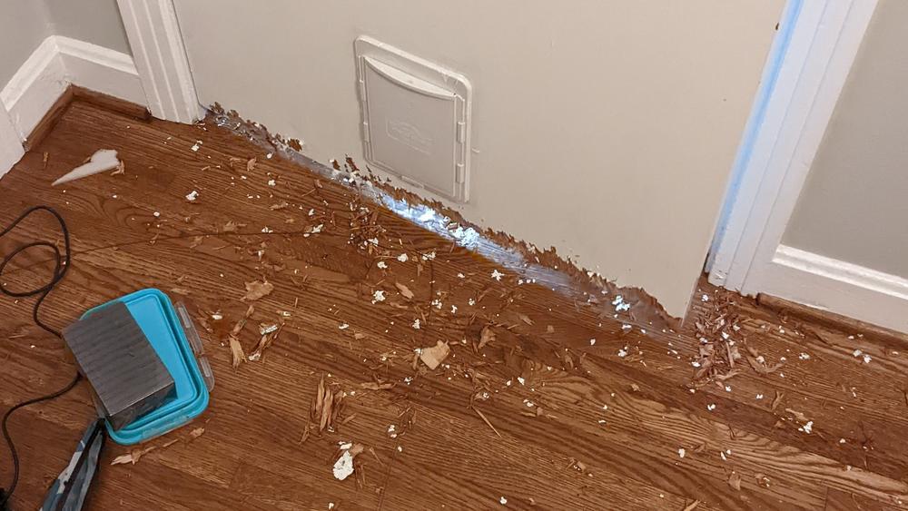 Bluebell destroyed the bottom of this door in the Millers' home in Nashville — a sign of the intense separation anxiety she's experiencing after her long time in a cage and on flights, the couple say.