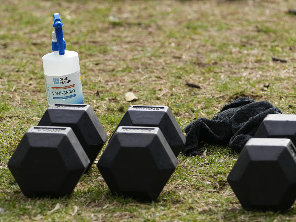 A bottle of disinfectant sits by gym equipment in a park in the eastern suburbs of Sydney Tuesday, Sept. 14, 2021. Personal trainers turned a waterfront park at Sydney's Rushcutters Bay into an outdoor gym to get around pandemic lockdown restrictions.