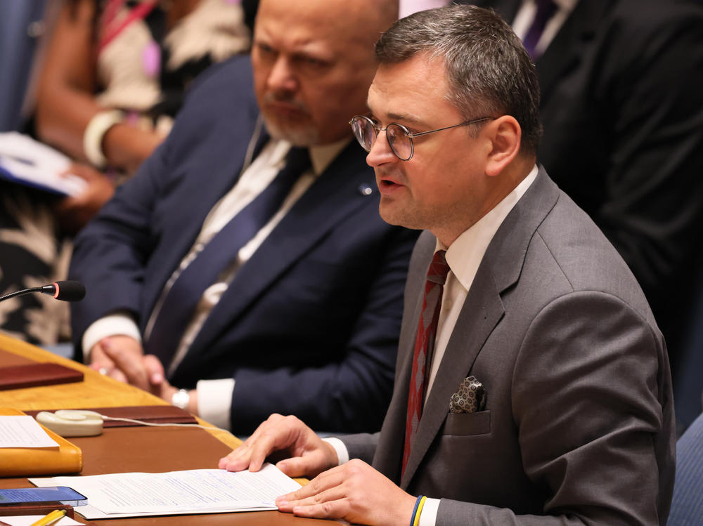 Ukraine Minister for Foreign Affairs Dmytro Kuleba speaks during a United Nations Security Council meeting last September.