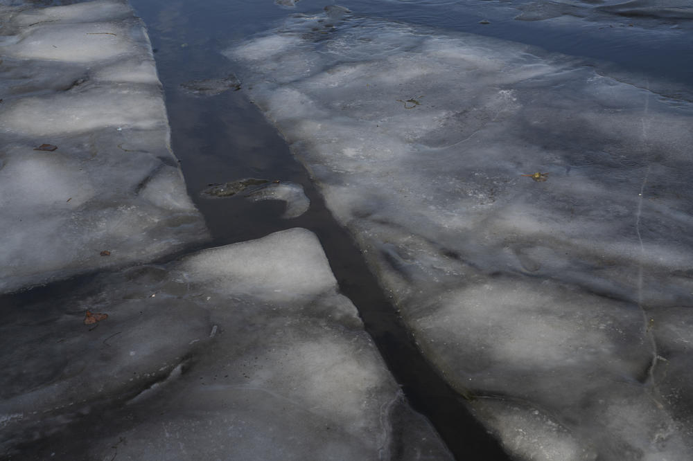 Chunks of ice float through the water, sometimes gathering in small inlets along the side of the river.