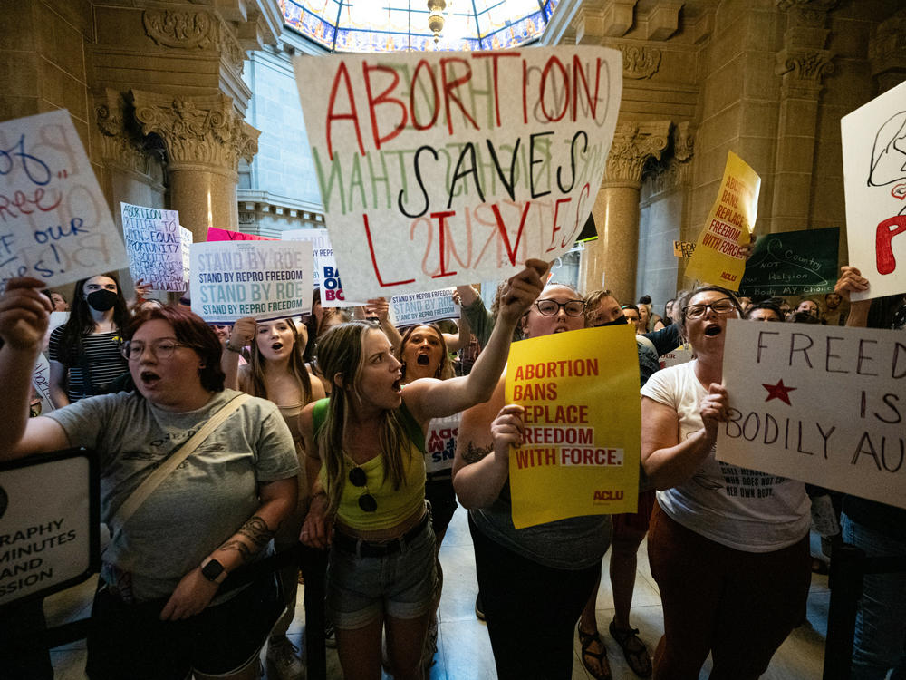 Most Americans Say Overturning Roe Was Politically Motivated, NPR/Ipsos ...