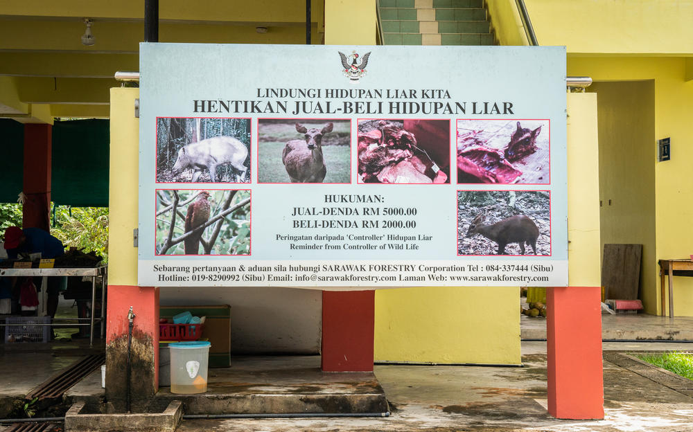 The Malaysian government now prohibits the sale or purchase of wild land mammals in the markets in Sarawak because these animals could carry dangerous viruses, including coronaviruses.