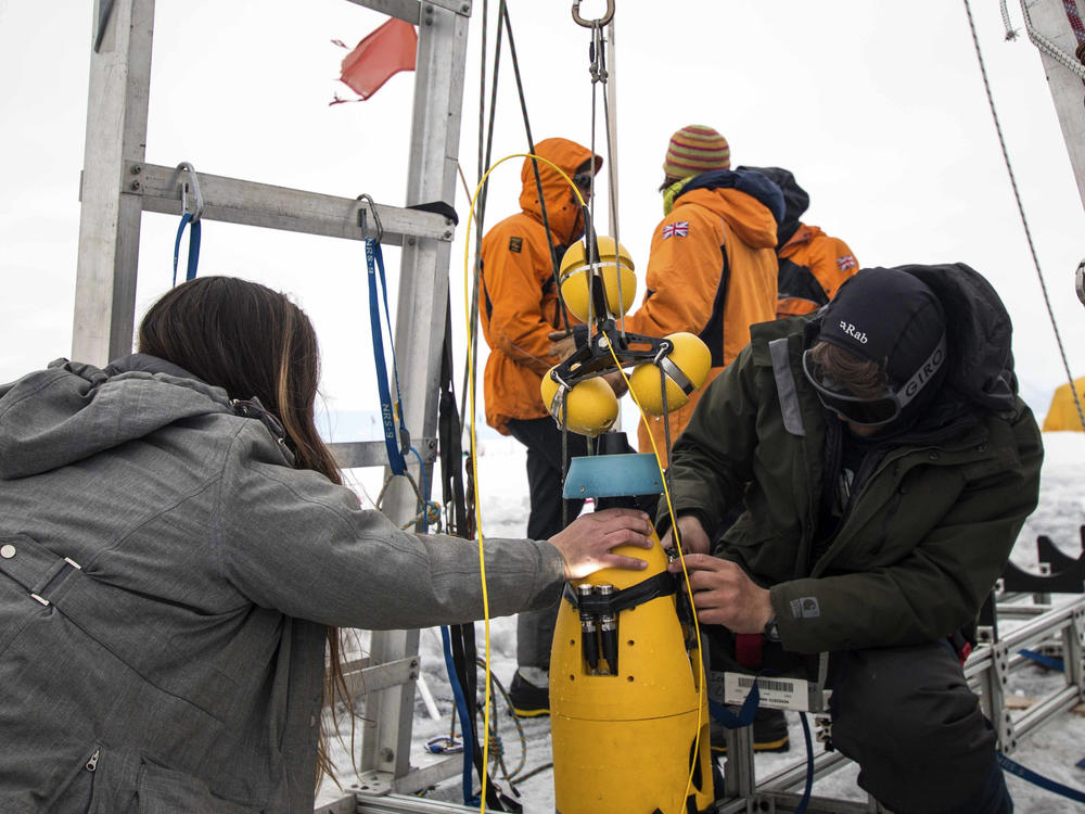 A robot nicknamed Icefin is deployed at Thwaites glacier in Antarctica in January 2020. Two studies published Wednesday, Feb. 15, 2023, show the rate of melting isn't as fast as feared, but fracturing is taking the heaviest toll on the glacier.