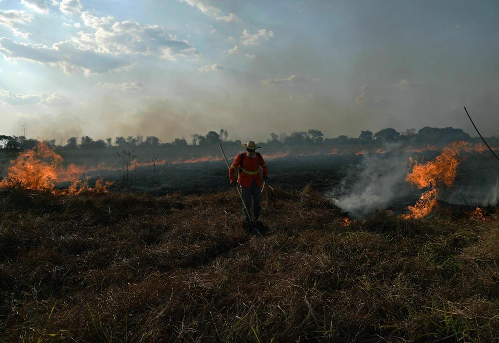 A firefighter works to put out a large forest fire in Porto Jofre, Brazil, on Sept. 4, 2021.
