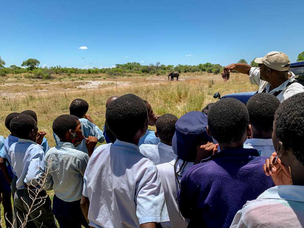 Mogalakwe, the safari guide, points out how the elephant is using its trunk to dig for water.