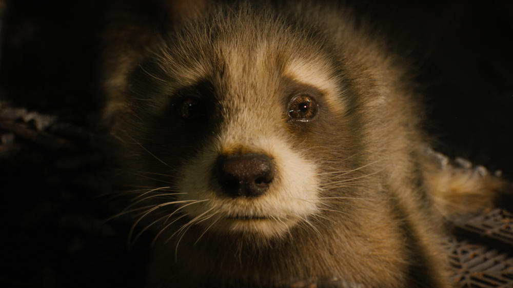 Baby Rocket (voiced by Bradley Cooper), one of the film's subtle, understated appeals to emotion.