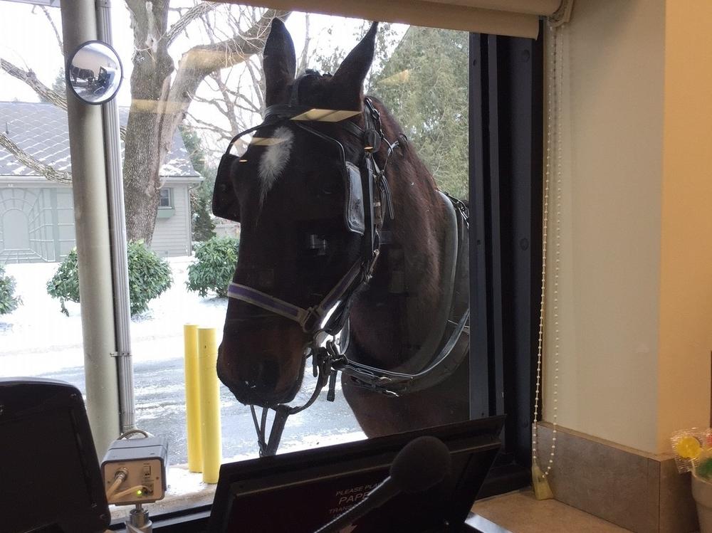 A horse looks in the drive-window of the Bank of Bird-in-Hand. The bank serves the Amish community. There are more than 4,000 small banks in the U.S.--more than any other country. And that has shaped the U.S. economy.