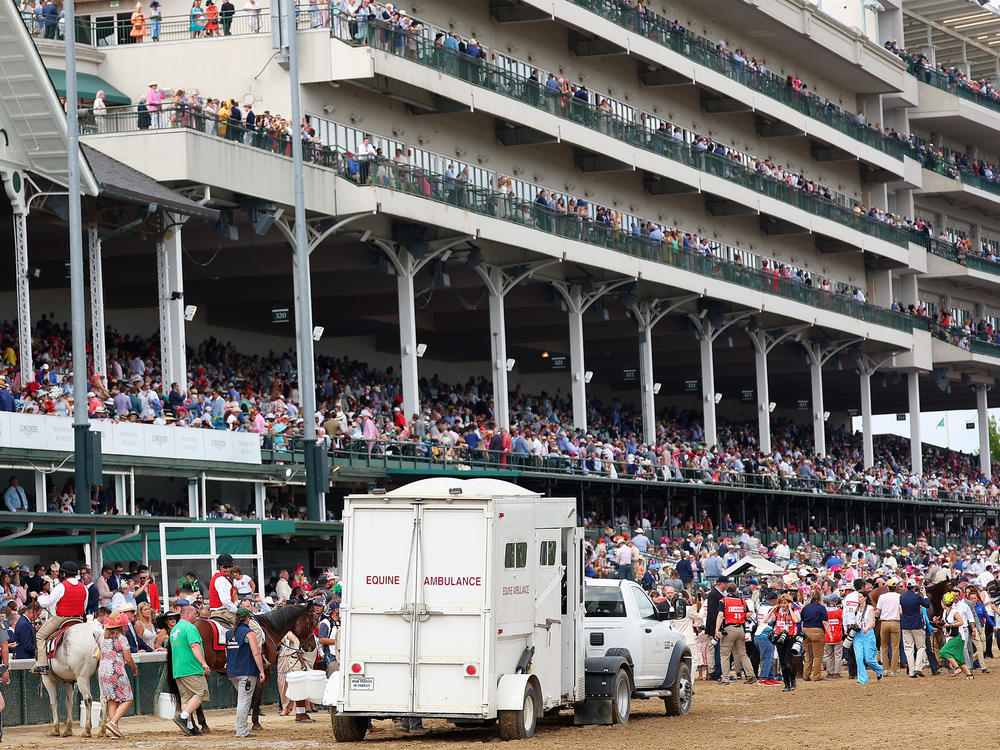 An equine ambulance arrives at Churchill Downs during the Kentucky Derby on Saturday in Louisville, Ky.