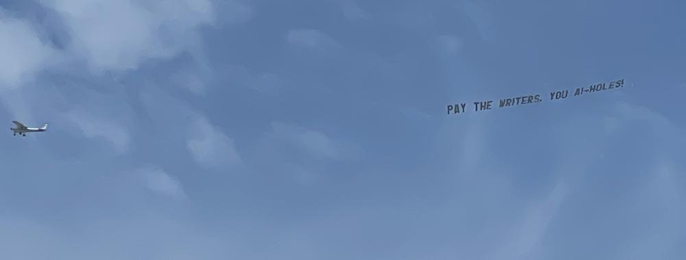 Writer/director Jacob Reed hired a plane with an anti-AI banner to circle over the Hollywood studios this week.