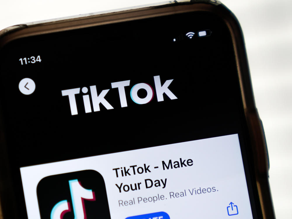 TikTok Sues Montana Over Its New Law Banning The App | Georgia Public ...