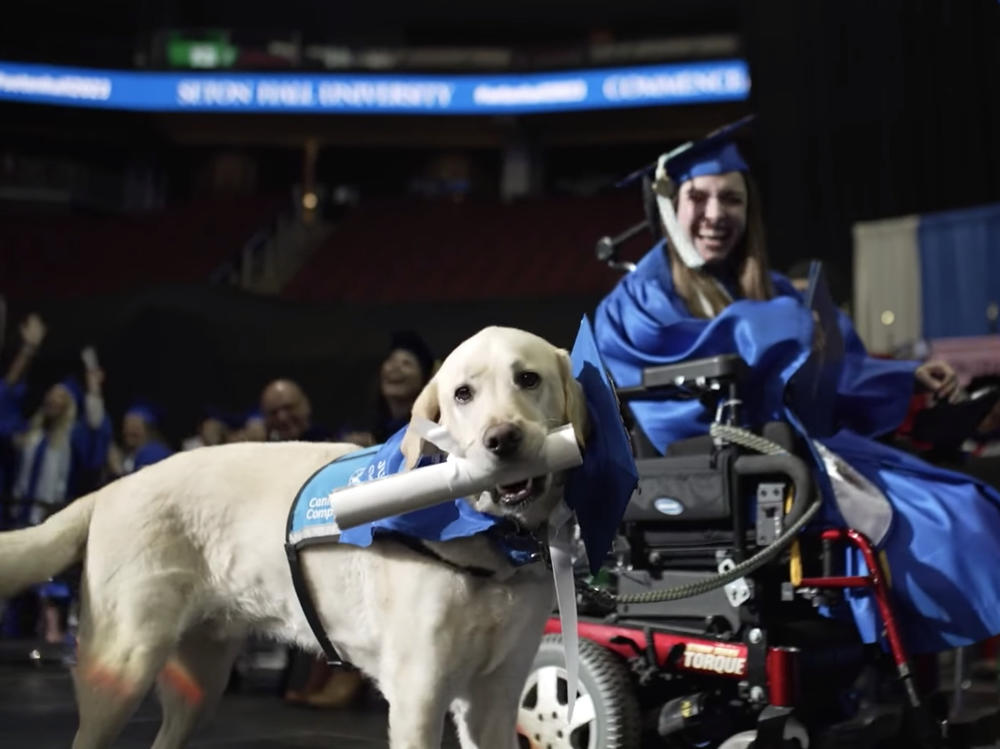Seton Hall University gave Grace Mariani's service dog, Justin, a special doggie diploma this week, to the delight of Mariani and her fellow graduates.