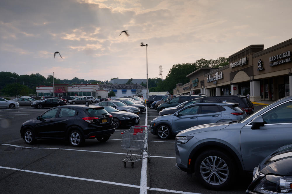Birds fly through the parking lot of a mall in Rockland County on June 8.