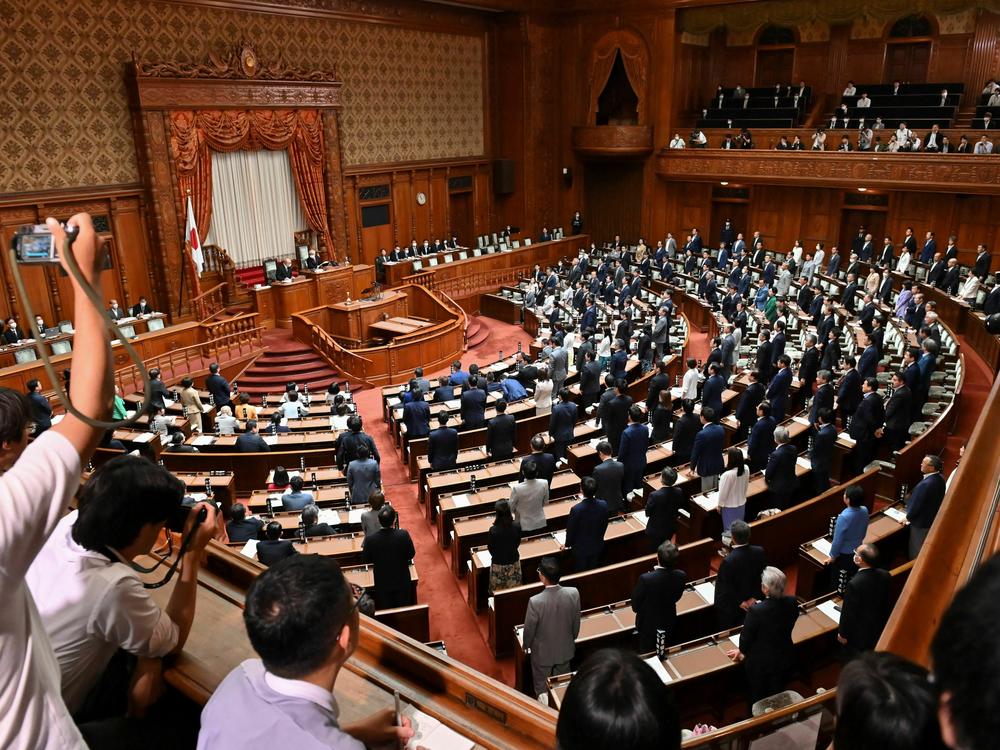Members of the House of Councilors vote on a series of legislation to broaden the definition of rape in Japan.