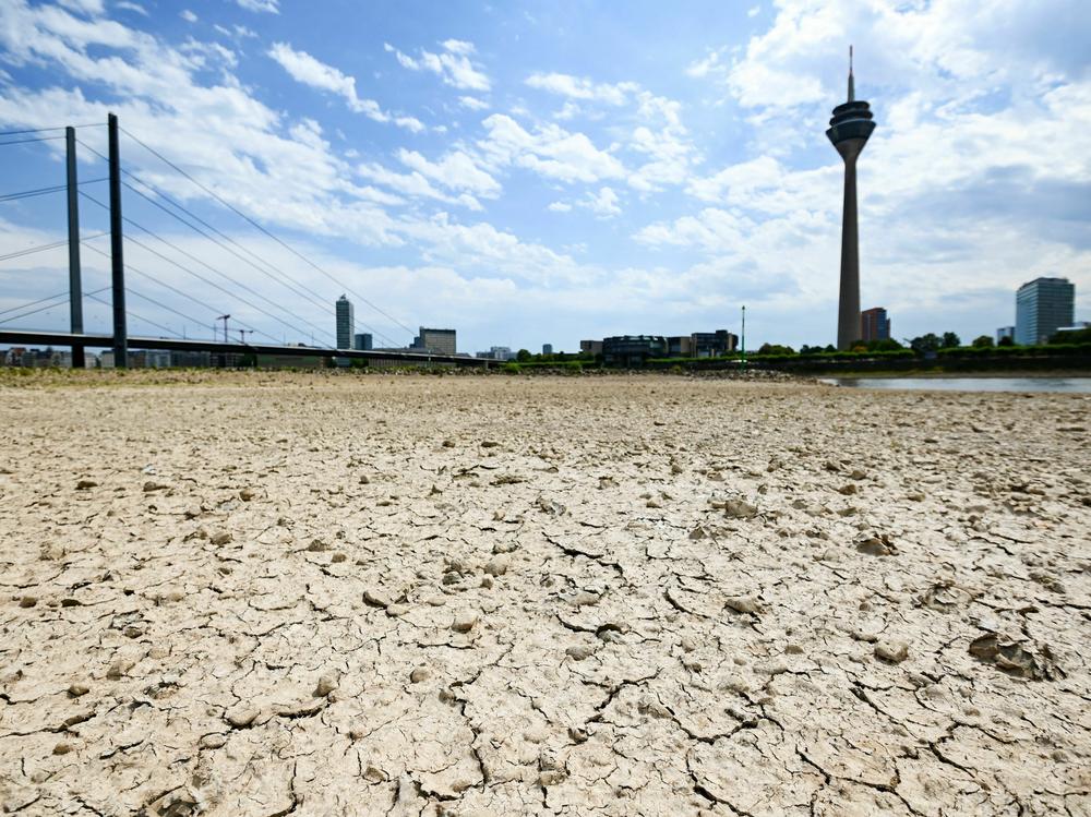 Dry soil of the partially dried-up river bed of the Rhine is pictured in Duesseldorf, western Germany, in July 2022.