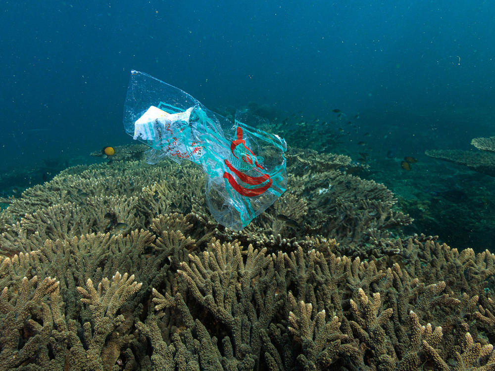 Magical Coral Reef Bag