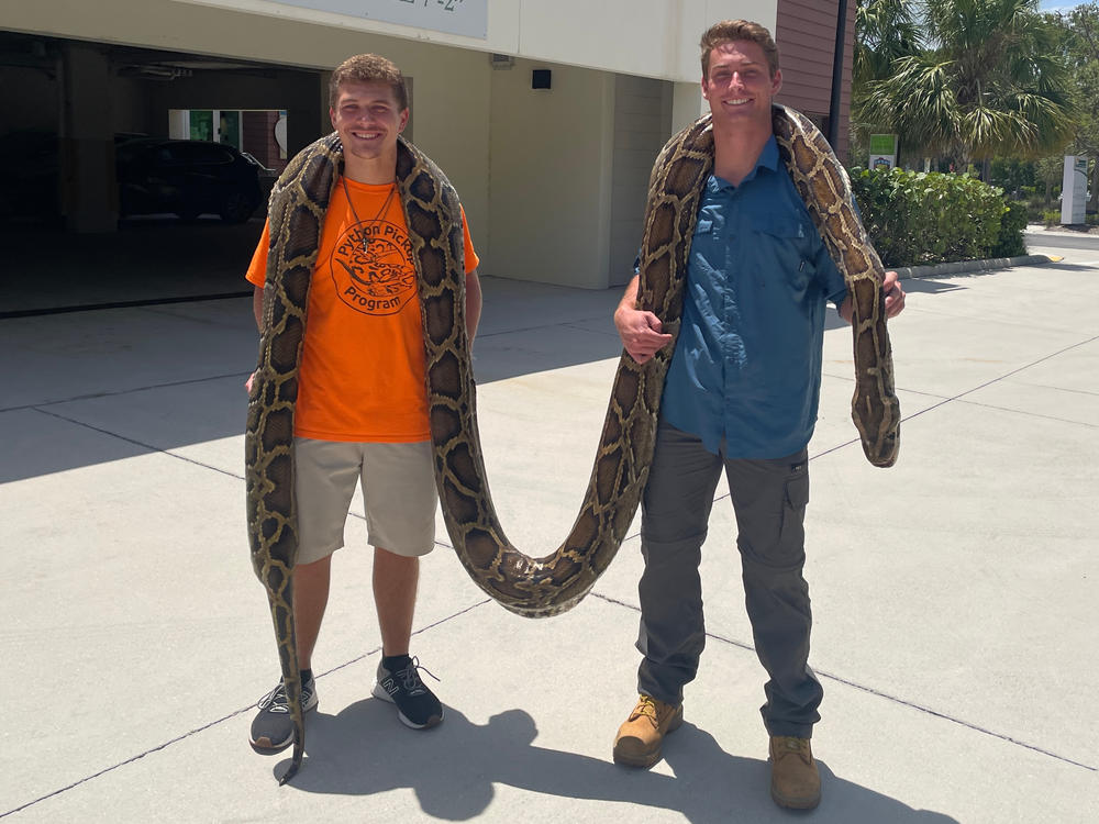 Stephen Gauta (left) and Jake Waleri brought the 19-foot python to the Conservancy of Southwest Florida in Naples, Fla., to have it measured and donated for studies.