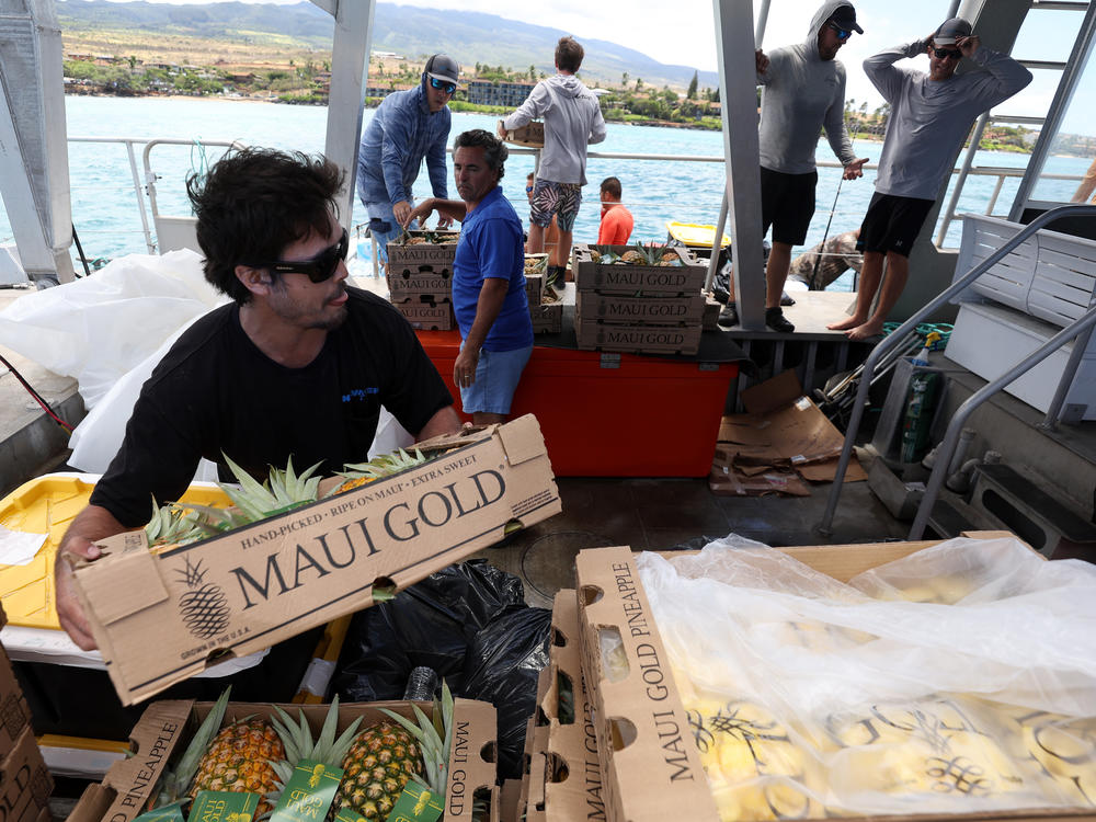 Volunteers stack boxes of pineapple that will be transferred to shore by a small boat on Aug. 14, 2023, in Kaanapali, Hawaii. Volunteers are continuing to bring much needed supplies to the West Maui area.