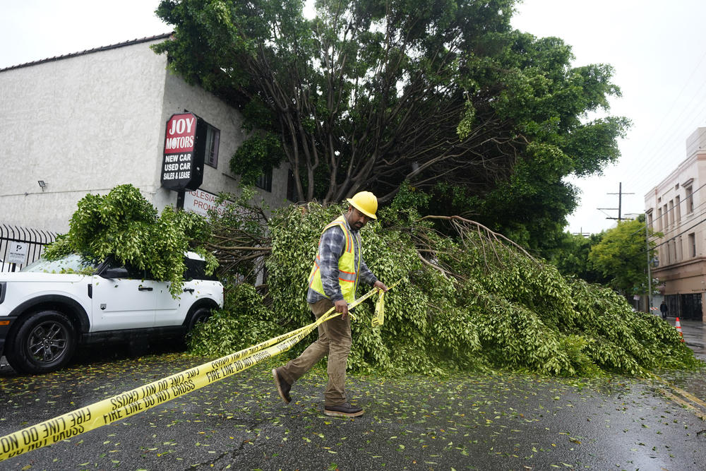 Sun., Aug. 20: A worker drags caution tape to block off Pico Boulevard after a tree fell in Los Angeles.