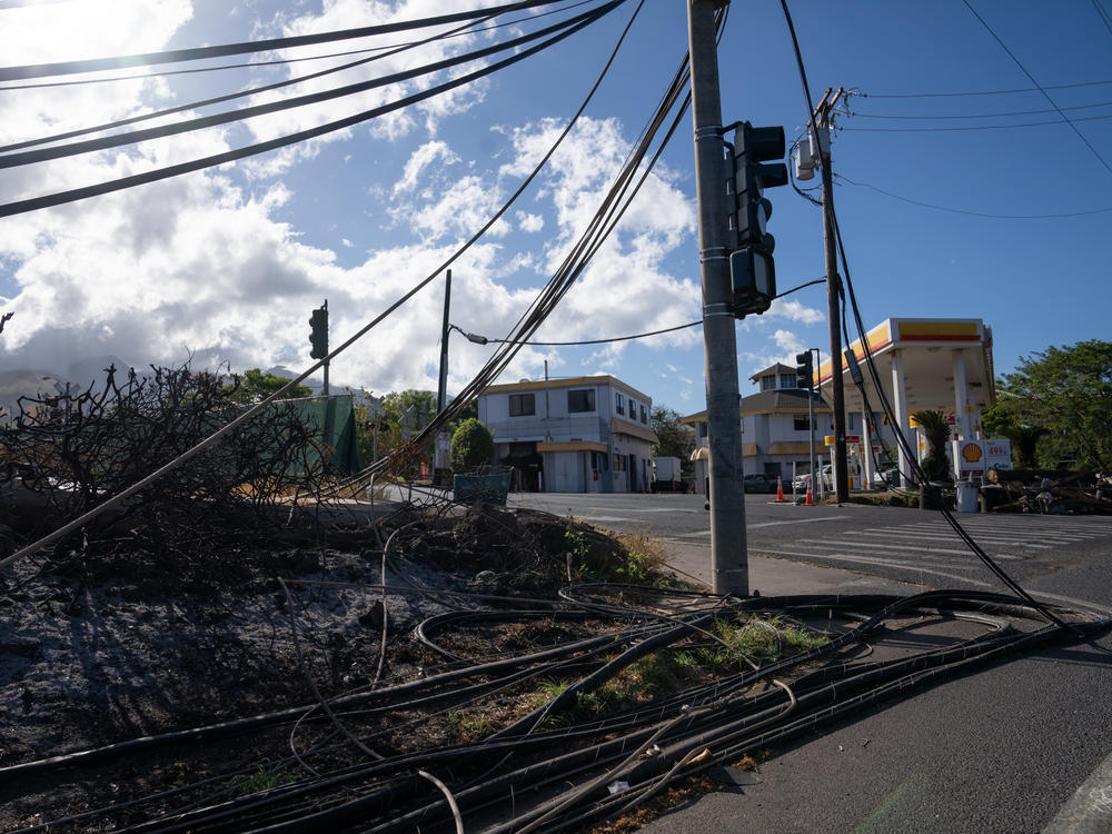 Electrical wires and telephone poles were downed in Lahaina, Hawaii, after the deadly wildfires. Maui County has filed a lawsuit targeting Hawaiian Electric Co., or HECO, and several of its subsidiaries, seeking 