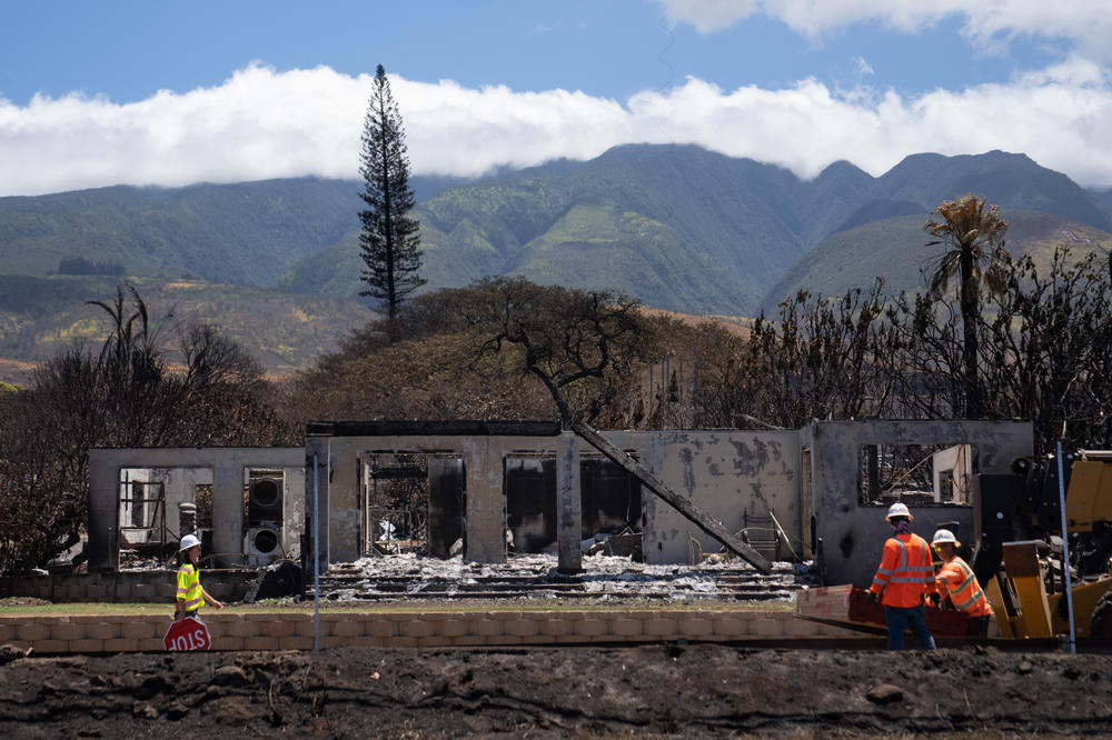 A fence is constructed around the homes burned by the fires in Lahaina.