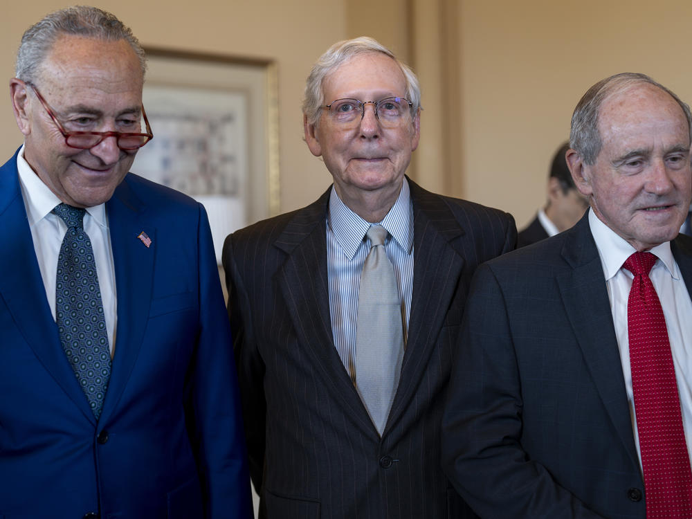 Senate Minority Leader Mitch McConnell, R-Ky., center, is joined by Senate Majority Leader Chuck Schumer, D-N.Y., left, and Senate Foreign Relations Committee Ranking Member Jim Risch, R-Idaho, right, on July 27. On Wednesday McConnell appeared to freeze while talking to reporters at a Kentucky event.
