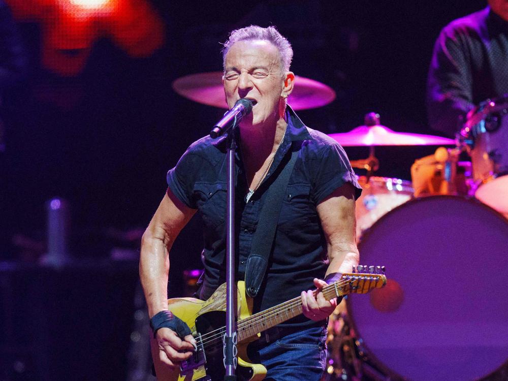 Bruce Springsteen cited symptoms of peptic ulcer disease in taking a break from his international tour. The singer, who says he'll make up the concert dates, is seen here performing in Copenhagen, Denmark, in July.