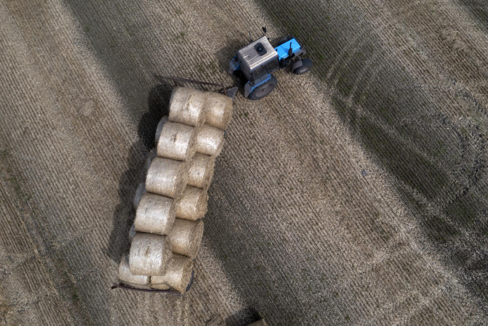 A tractor collects straw on a field in a private farm in Zhurivka, Kyiv region, Ukraine, Thursday, Aug. 10, 2023. Despite losing a significant amount of cropland, Ukrainian farmers have managed to maintain production.