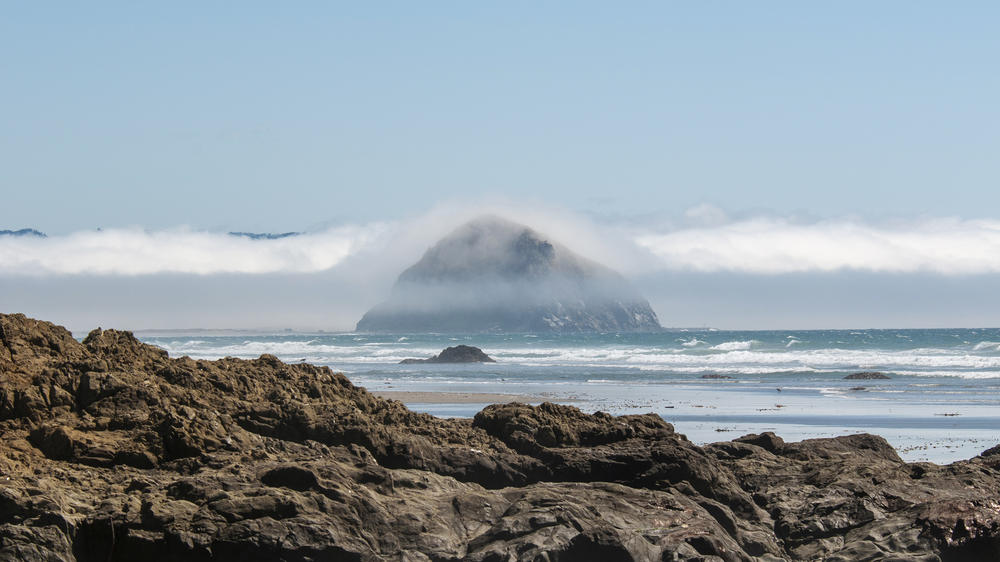 The waters off Morro Rock could be a bellwether for climate change, since warmer water species may migrate into the area as the ocean heats up.