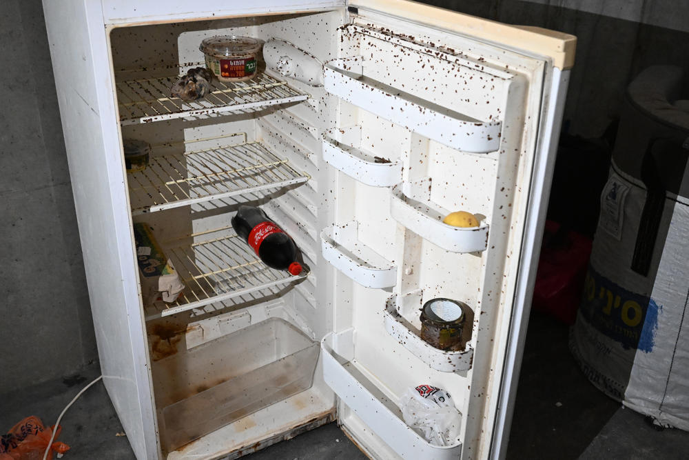 Rotting food and bugs on a fridge that was used by Palestinian West Bank workers at the construction site.