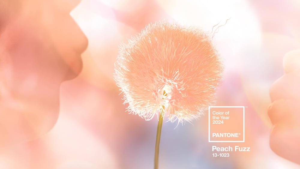 An influential color consultancy has already set the tone for the year ahead: Pantone's Color of the Year for 2024 is Peach Fuzz.