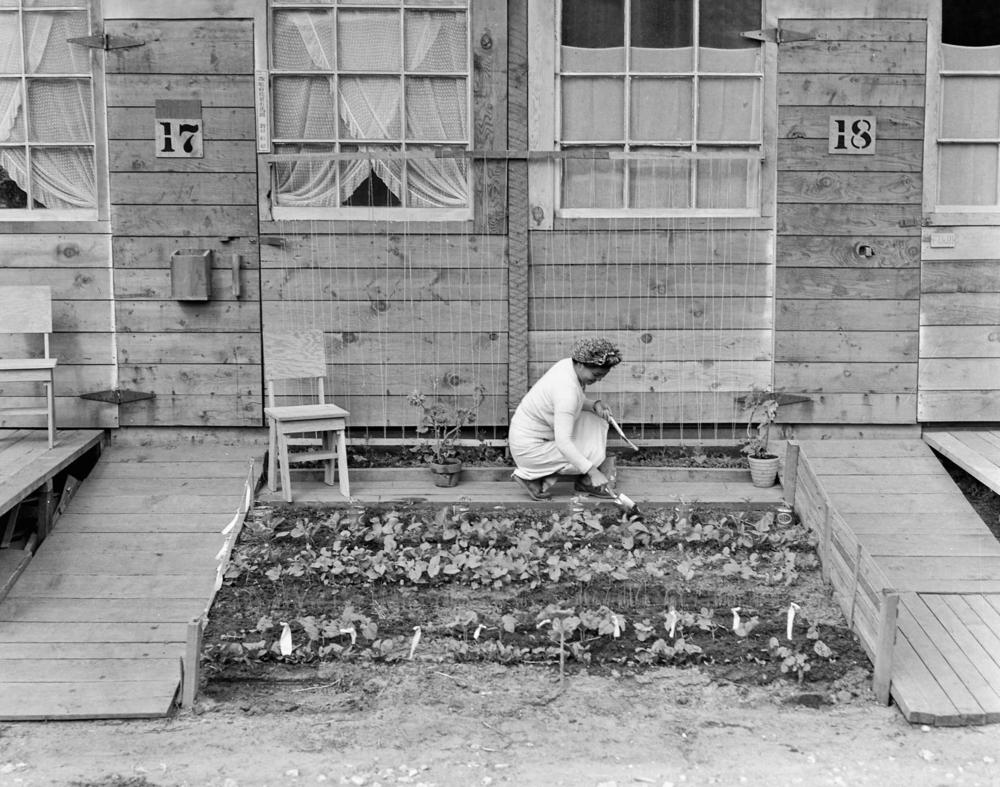 Mrs Fujita Working in Her Tiny Vegetable Garden She Has Planted in Front of Her Barrack Home, 1942, San Bruno, California, as pictured in <em>Gardens. </em>