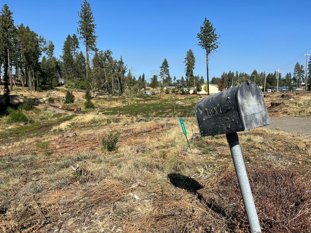 A vacant lot in Paradise, California where a home stood before the 2018 Camp Fire.