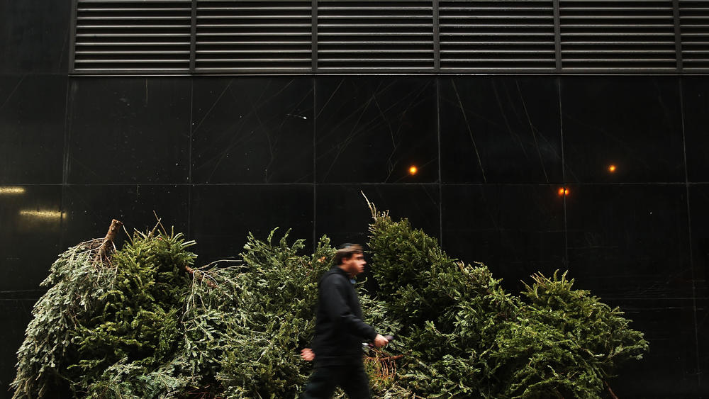 A person passes discarded Christmas trees along a sidewalk on January 14, 2014 in New York City.